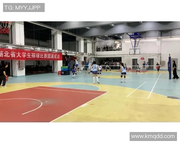 武汉排球队的崛起与荣耀：揭秘排球背后的力量与精神